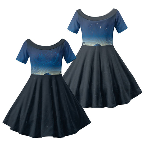 New Zealand Matariki Family Matching Tank Maxi Dress and Hawaiian Shirt Maori Waka With Silver Fern