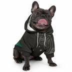 New Zealand Matariki Pet Hoodie Pleiades Star Cluster Green Galaxy