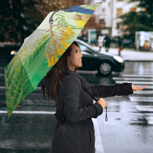 New Zealand Maori Mahuru Umbrella Tui With Pikawakawa Spring Colors