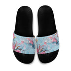 Galah Birds Australia Baby Blue & Pink Slide Sandals - Aussie Hoodie