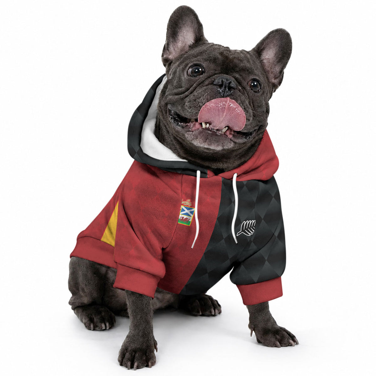 Custom British Lions New Zealand Pet Hoodie Sporty Style