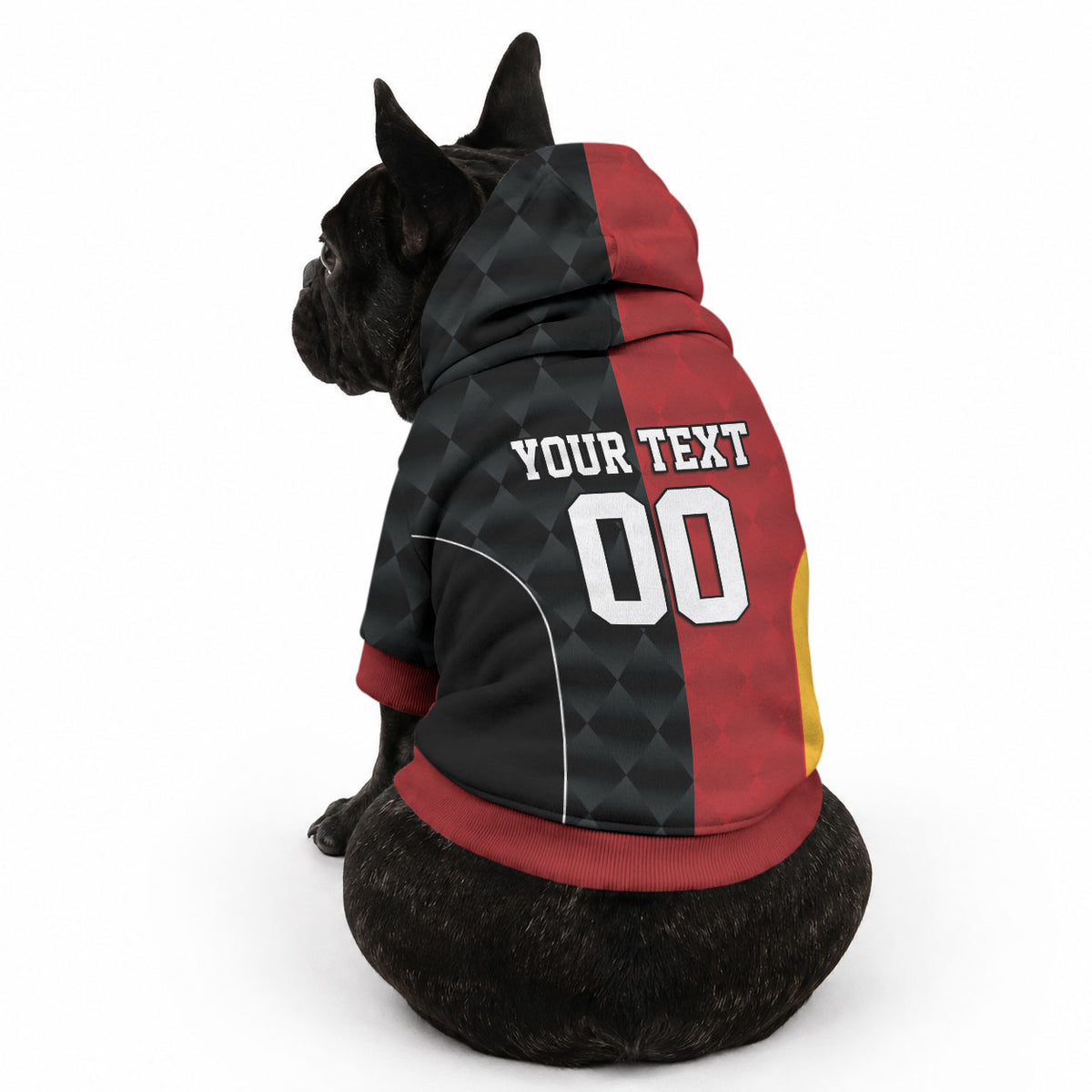 Custom British Lions New Zealand Pet Hoodie Sporty Style