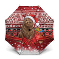 New Zealand Kekeno Seal Christmas Umbrella Maori Inspired Knitted Patterns