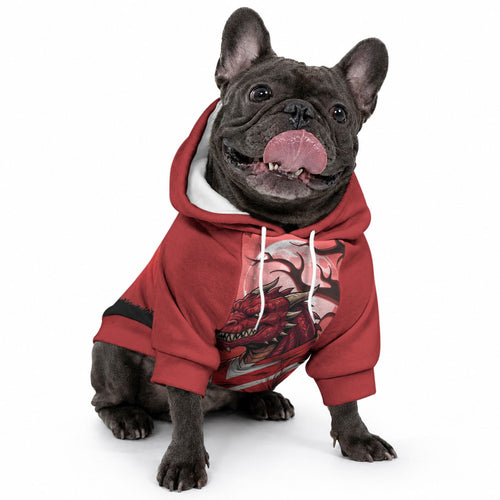 Custom Halloween St George Illawarra Dragons Pet Hoodie Spooky Australia Mascot Rugby