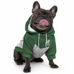 Custom New Zealand Maori Niho Taniwha Pet Hoodie