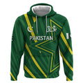 Pakistan Cricket Custom Hoodie Shaheen Falcon Go Champions