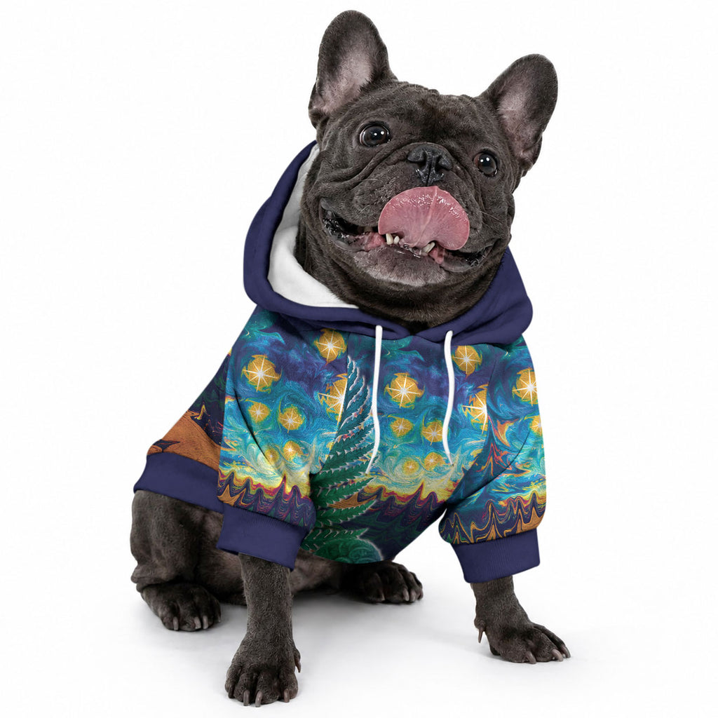 Personalised New Zealand Matariki Art Star Pet Hoodie Koru Fern Night Starry Sky
