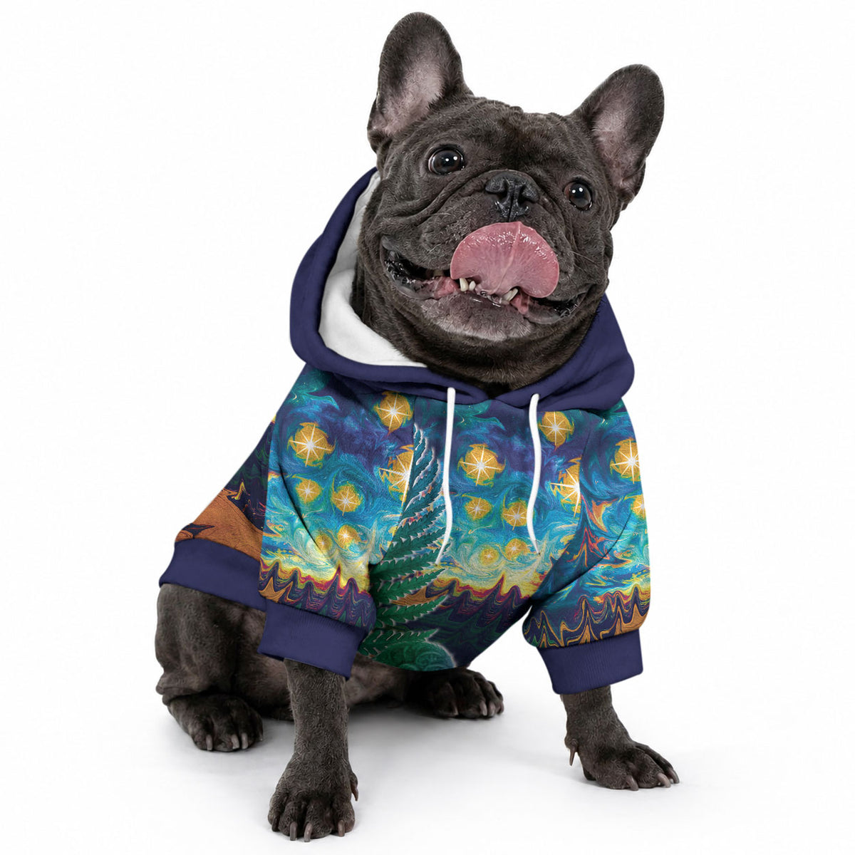 Personalised New Zealand Matariki Art Star Pet Hoodie Koru Fern Night Starry Sky