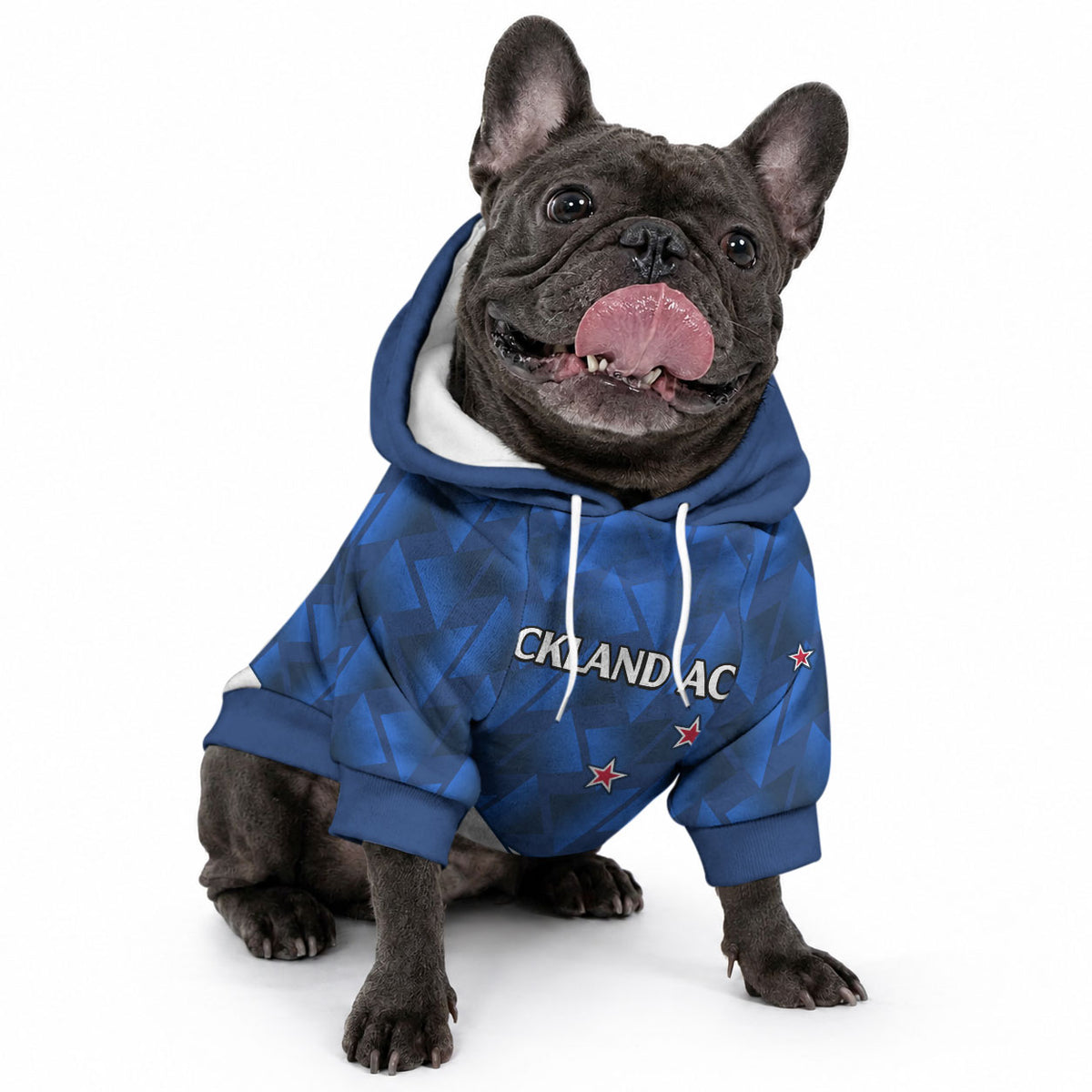 New Zealand Cricket Pet Hoodie Auckland Aces Sporty Style
