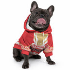 Dolphins First Champions 2026 Pet Hoodie First Flag Championship