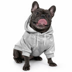 Australia Lung Cancer Support Personalised Pet Hoodie Butterfly Ribbon Art
