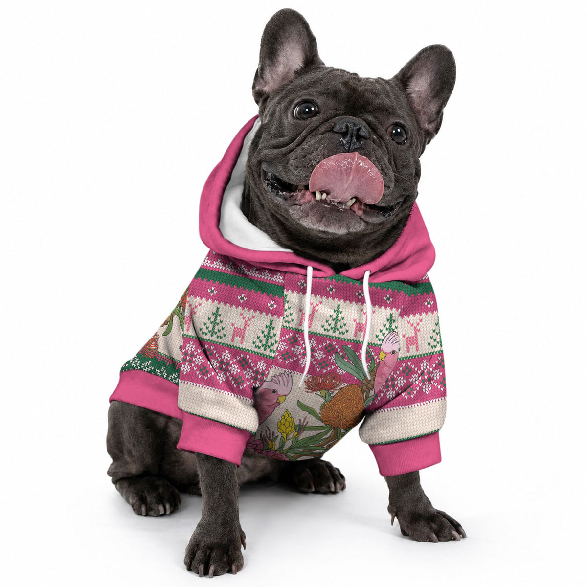 Aussie Galah Christmas Pet Hoodie Festive Knitted Pattern Inspired