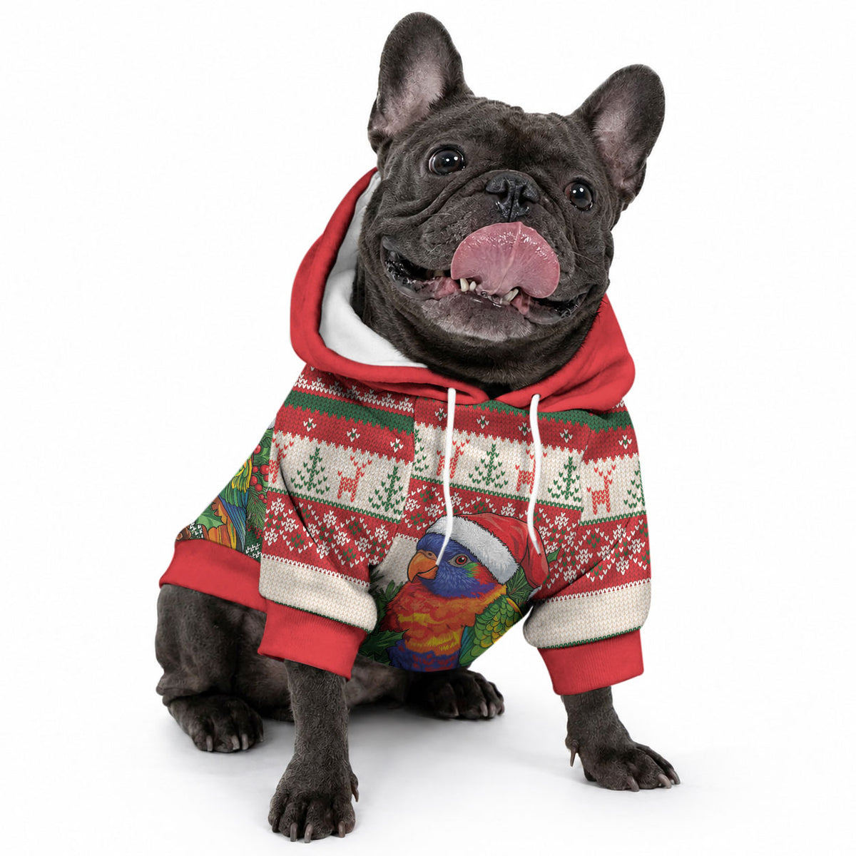 Aussie Rainbow Lorikeets Christmas Pet Hoodie Festive Knitted Pattern Inspired