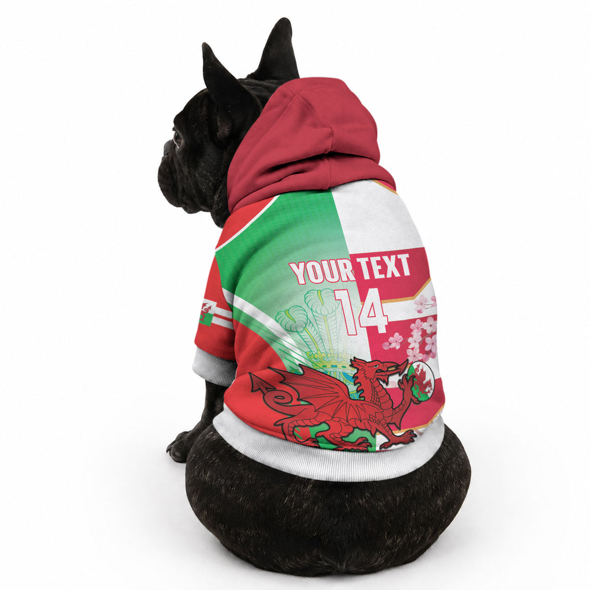 Japan and Wales Rugby Custom Pet Hoodie Brave Blossoms Welsh Dragon Together