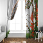 Australia Superb Lyrebird Window Curtain Aussie Map - Rainforest Vibes