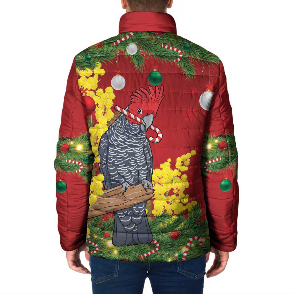 Australia Gang-gang Cockatoo Christmas Padded Jacket Callocephalon Fimbriatum Golden Wattle Red - Aussie Hoodie
