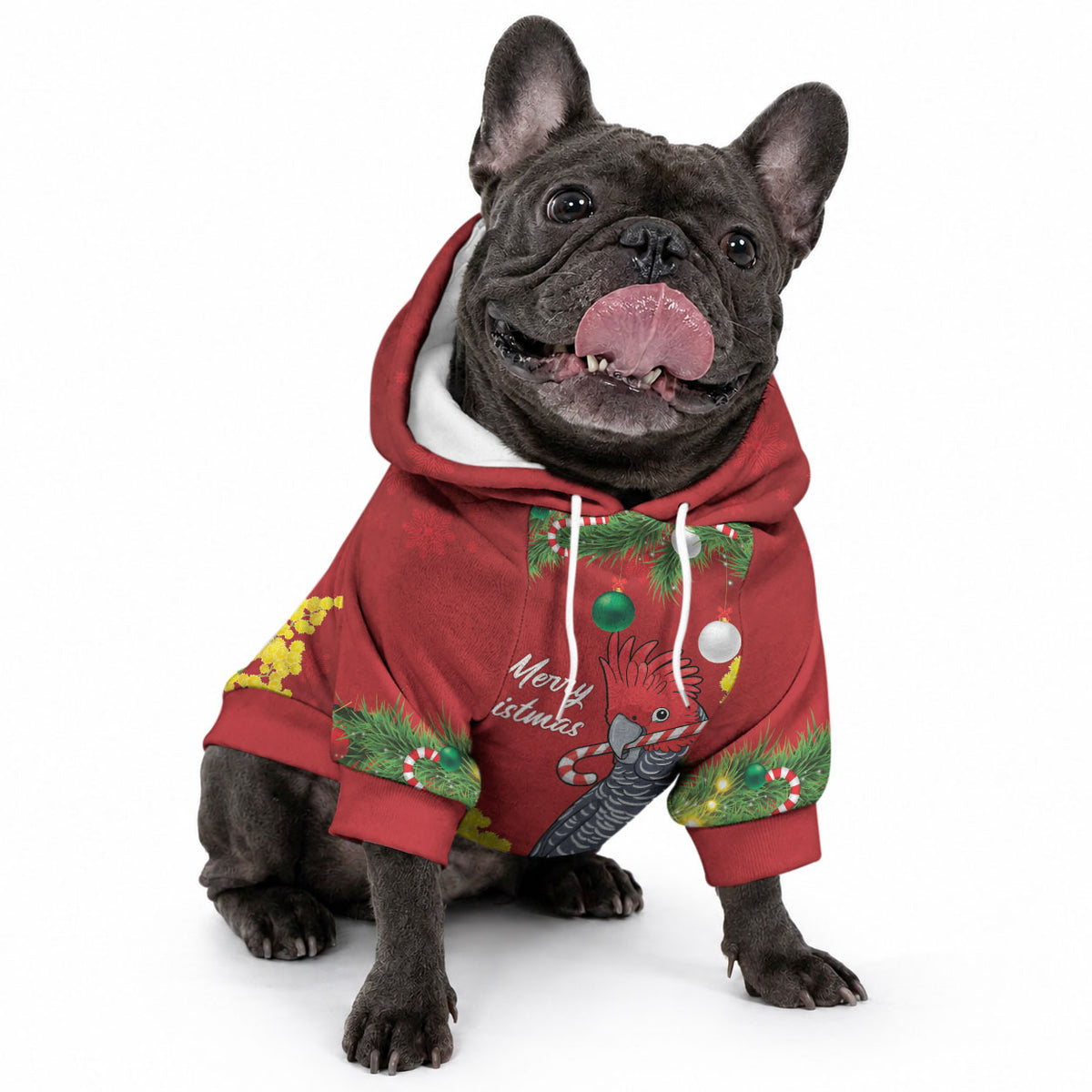 Australia Gang-gang Cockatoo Christmas Pet Hoodie Callocephalon Fimbriatum Golden Wattle Red