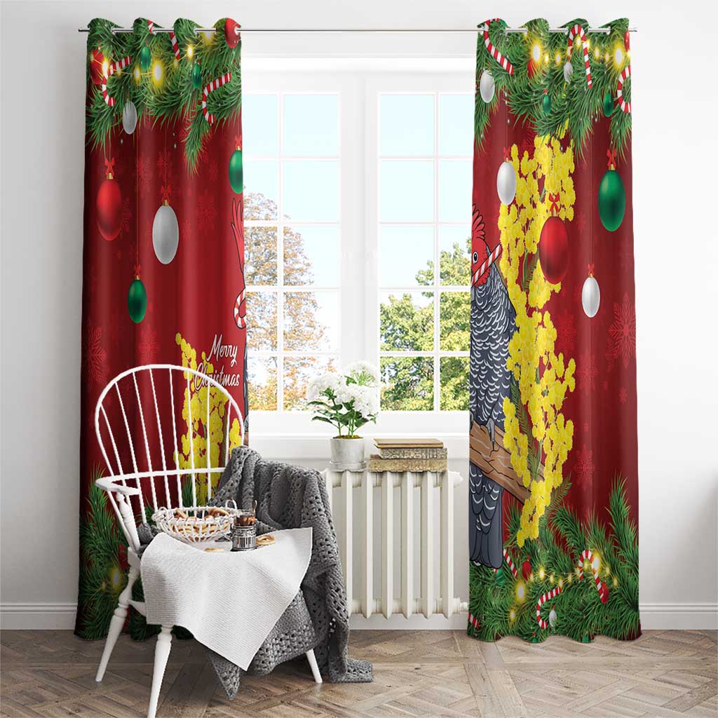 Australia Gang-gang Cockatoo Christmas Window Curtain Callocephalon Fimbriatum Golden Wattle Red - Aussie Hoodie