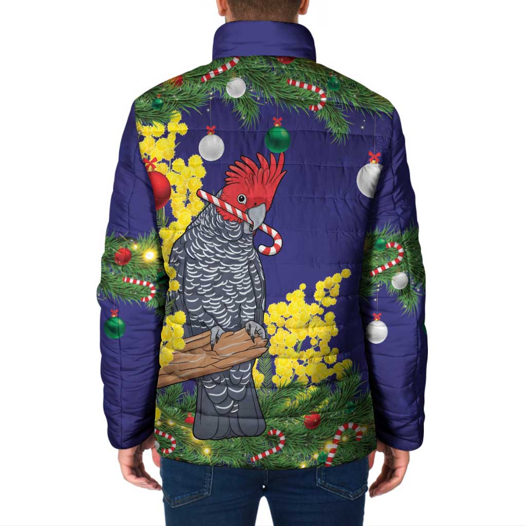 Australia Gang-gang Cockatoo Christmas Padded Jacket Callocephalon Fimbriatum Golden Wattle Blue - Aussie Hoodie