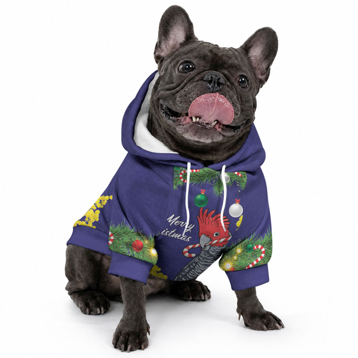 Australia Gang-gang Cockatoo Christmas Pet Hoodie Callocephalon Fimbriatum Golden Wattle Blue