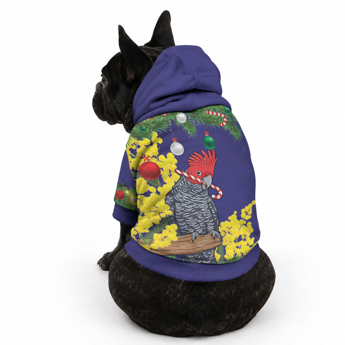 Australia Gang-gang Cockatoo Christmas Pet Hoodie Callocephalon Fimbriatum Golden Wattle Blue