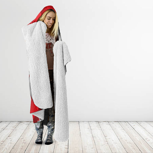 personalised-panthers-and-dolphins-hooded-blanket-sporty-version