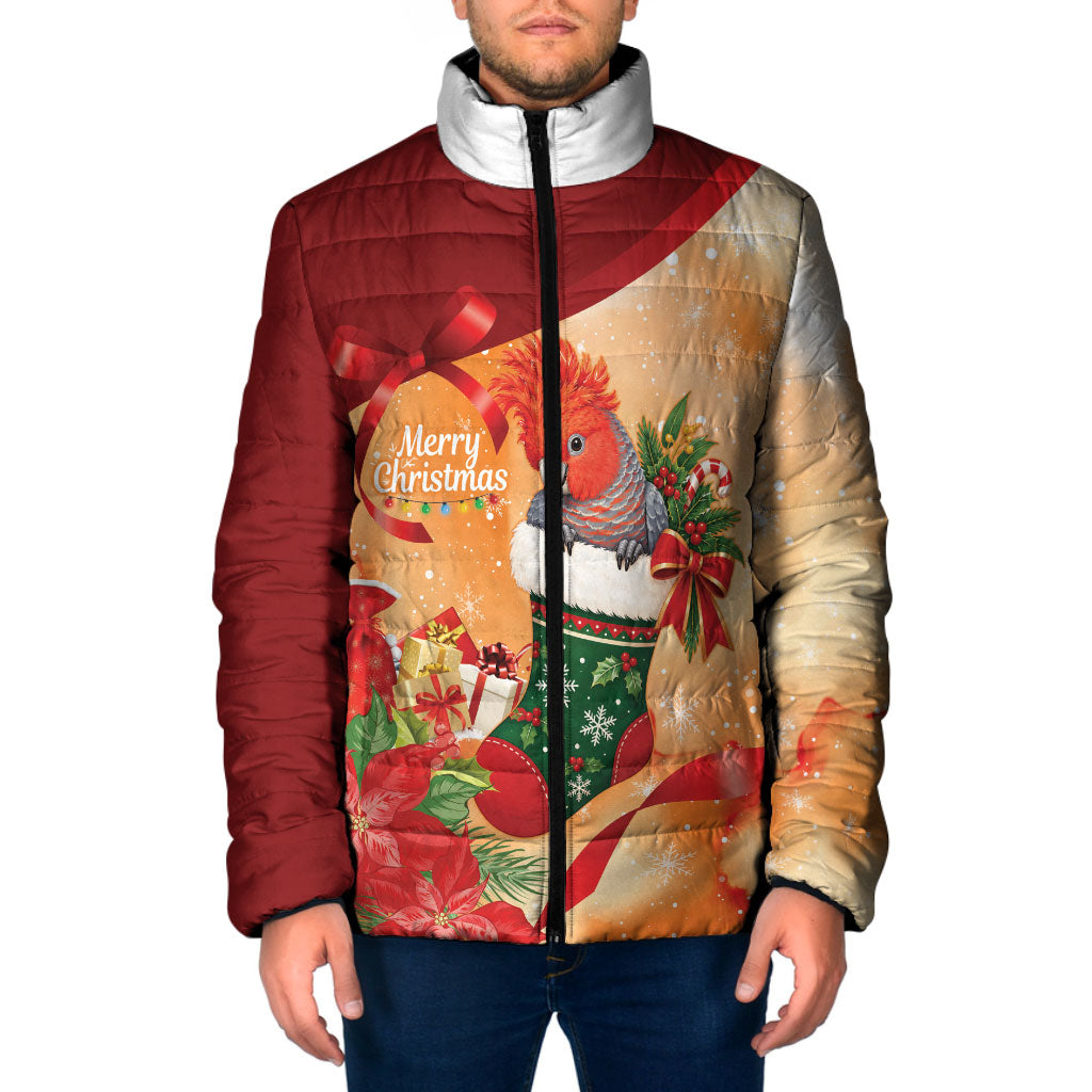 Gang-gang Cockatoo Christmas Australia Padded Jacket Aussie Xmas Sock Coquette Bow