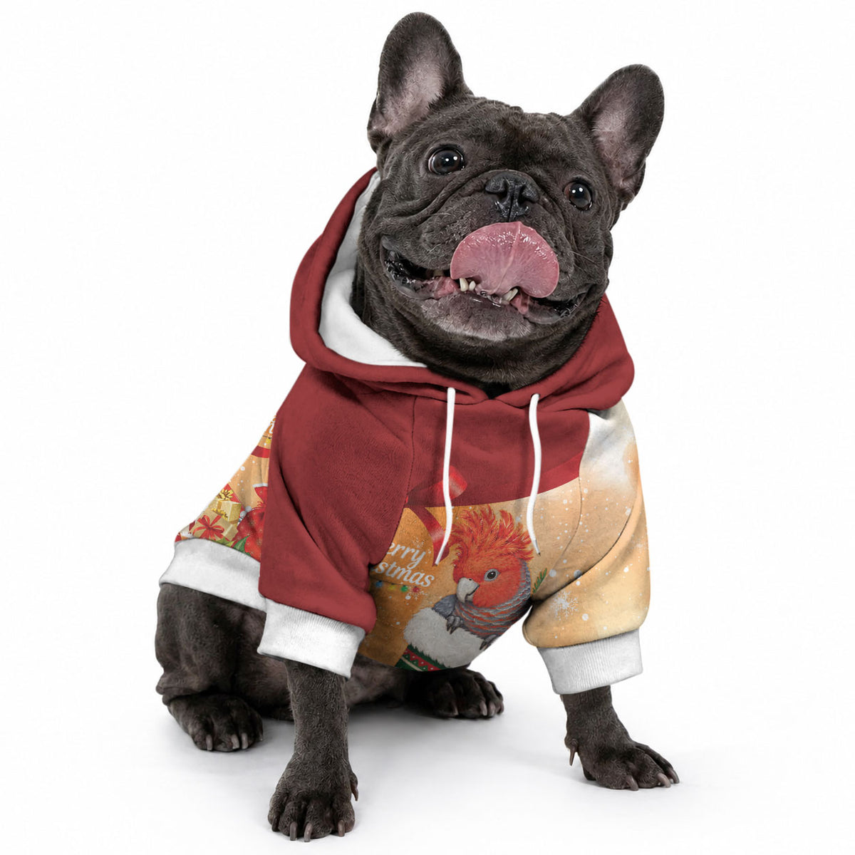Gang-gang Cockatoo Christmas Australia Pet Hoodie Aussie Xmas Sock Coquette Bow