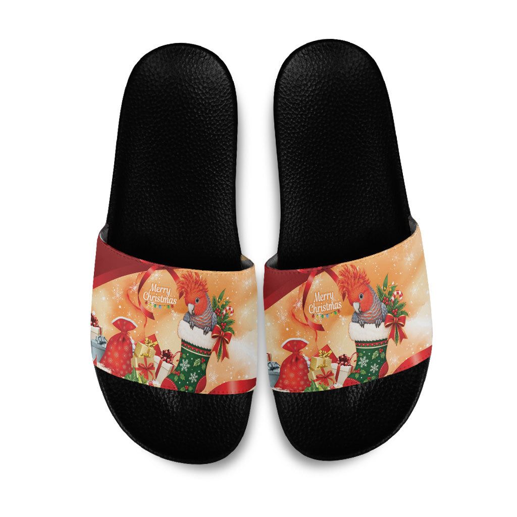 Gang-gang Cockatoo Christmas Australia Slide Sandals Aussie Xmas Sock Coquette Bow
