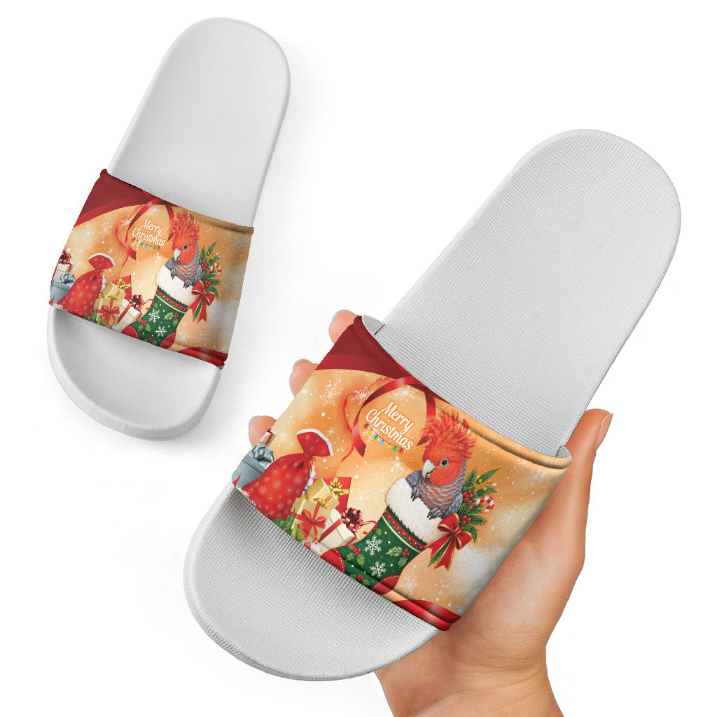Gang-gang Cockatoo Christmas Australia Slide Sandals Aussie Xmas Sock Coquette Bow