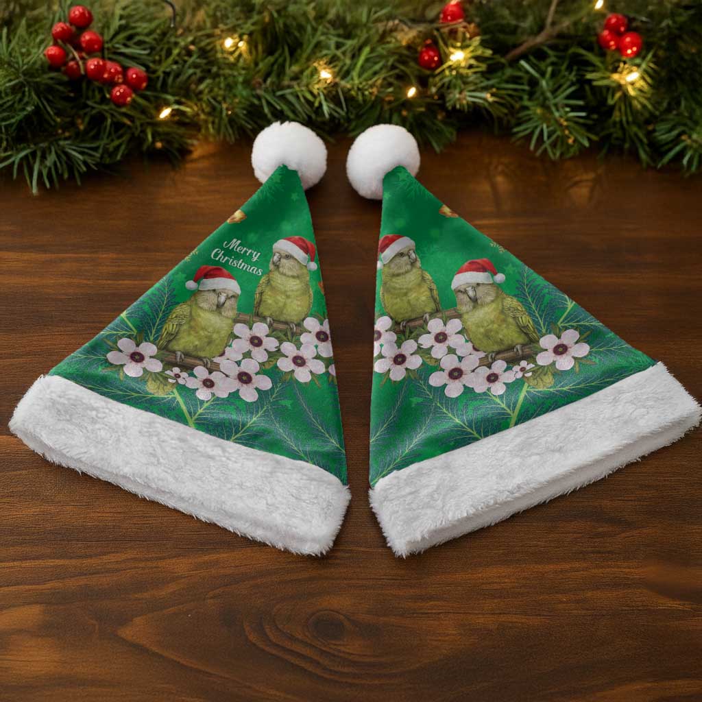 New Zealand Kakapo Christmas Santa Hat Owl Parrot Santa Sliver Fern Manuka - Green - Aussie Hoodie
