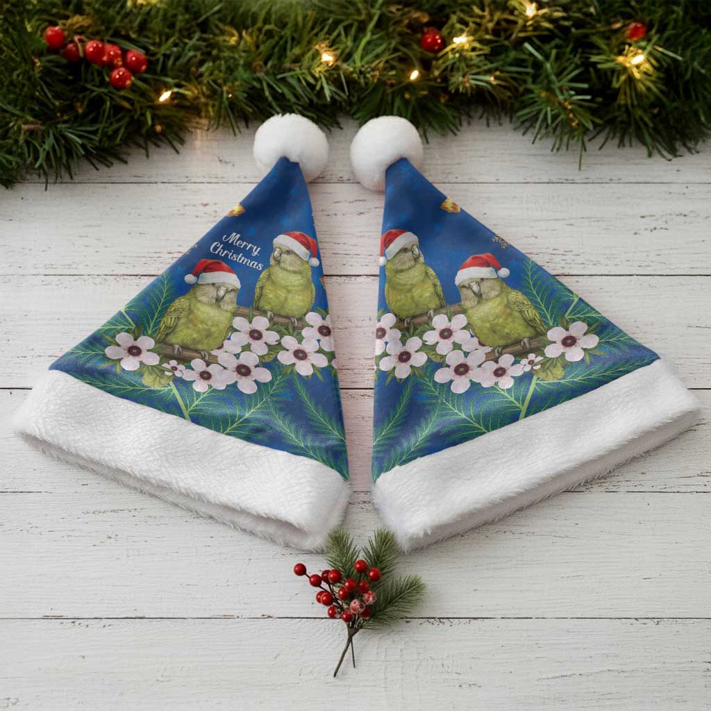 New Zealand Kakapo Christmas Santa Hat Owl Parrot Santa Sliver Fern Manuka - Blue - Aussie Hoodie