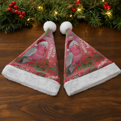 Galah Australia Christmas Santa Hat Merry Chrissie Bottlebrushes - Aussie Hoodie