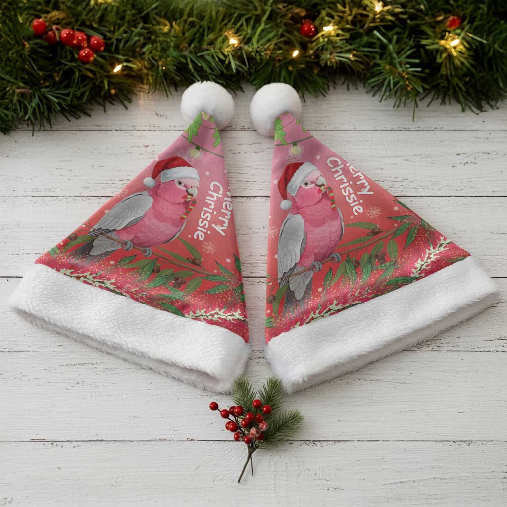Galah Australia Christmas Santa Hat Merry Chrissie Bottlebrushes - Aussie Hoodie