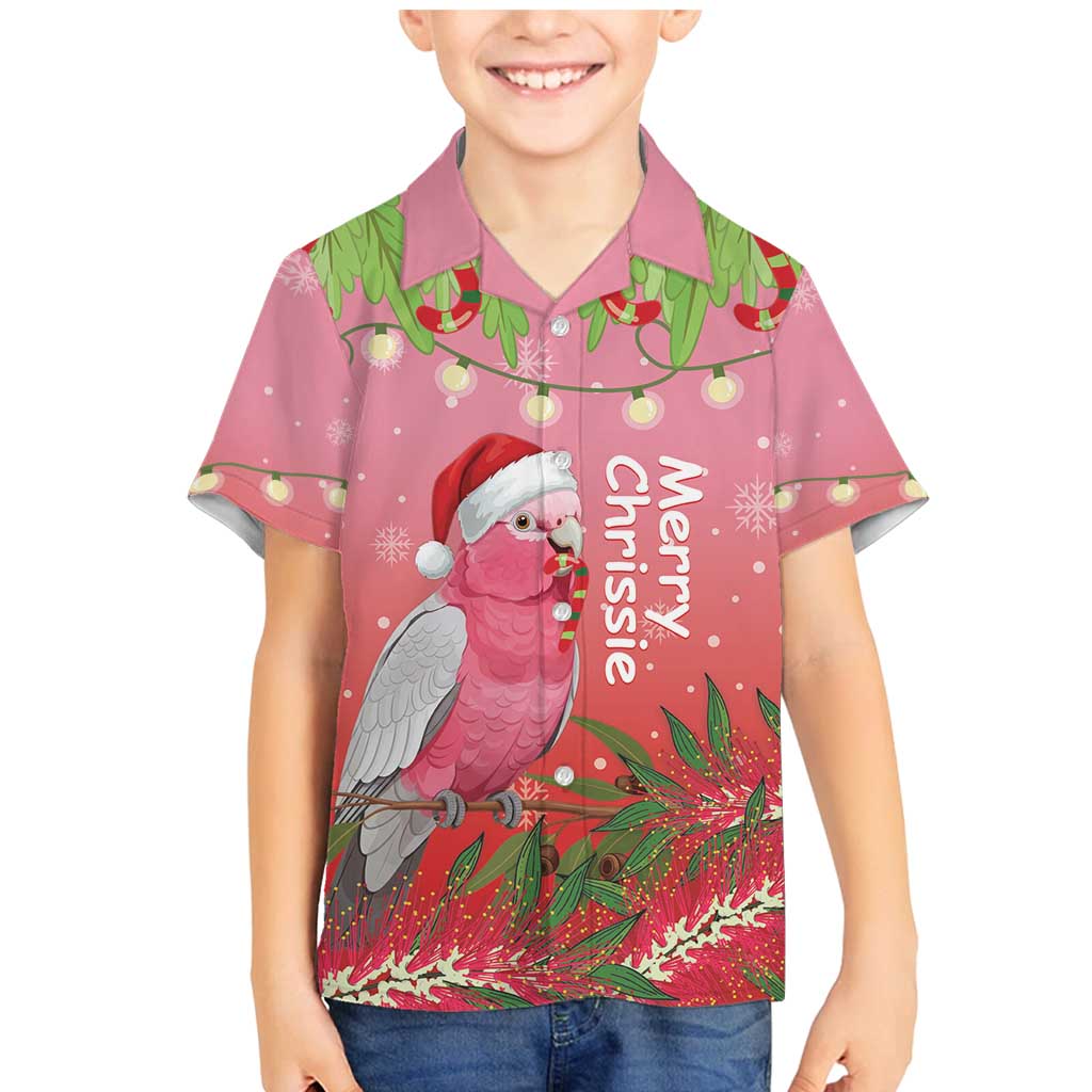 Personalised Galah Australia Christmas Family Matching Mermaid Dress and Hawaiian Shirt Merry Chrissie Bottlebrushes - Aussie Hoodie