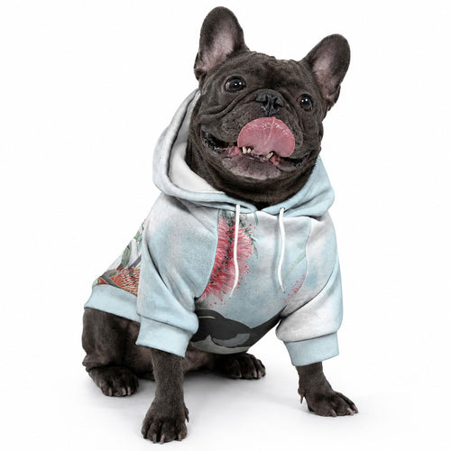 Willie wagtail Australia Pet Hoodie Banksia Bottlebrushes Watercolor Stylized