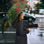 Rongoa Maori New Zealand Rata Umbrella NZ Tui Bird Forest Vibes