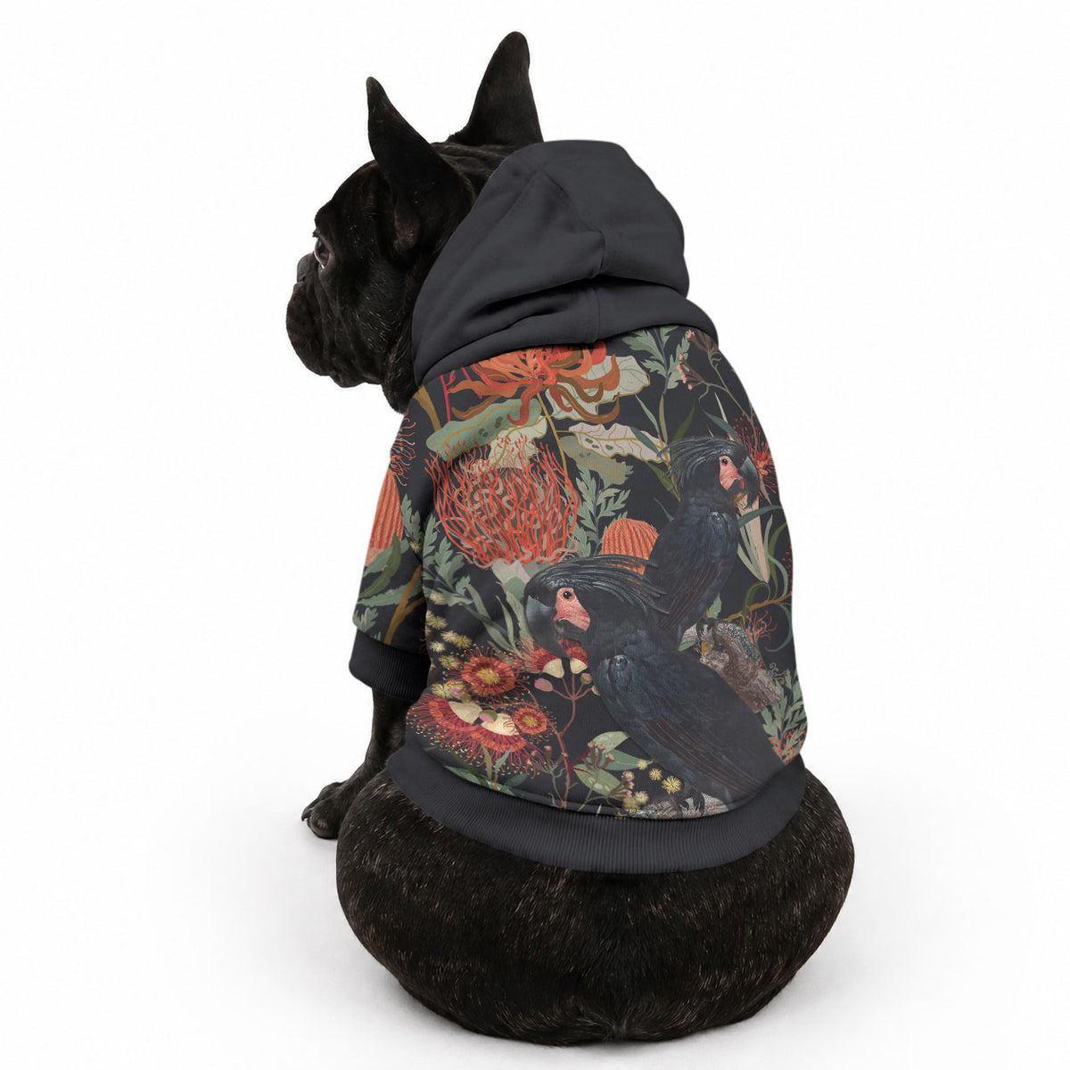 Australia Palm Cockatoo Pet Hoodie Aussie Native Flowers