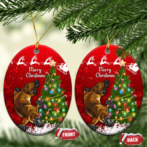 australia-christmas-ceramic-ornament-aussie-platypus-xmas-vibes