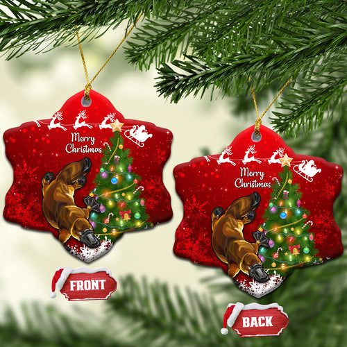 australia-christmas-ceramic-ornament-aussie-platypus-xmas-vibes