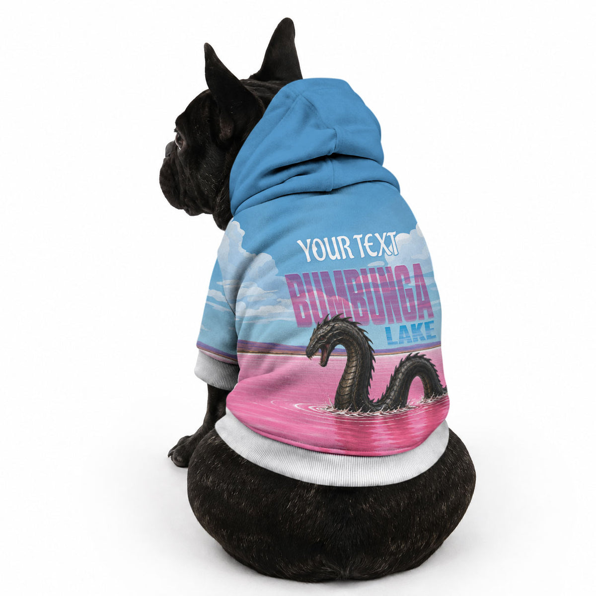 Personalised Bumbunga Lake Australia Pet Hoodie Pink Salt Lake Loch-eel Monster