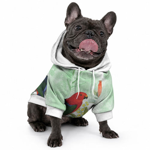 King Parrot Australia Pet Hoodie Alisterus Scapularis Banksia Watercolor