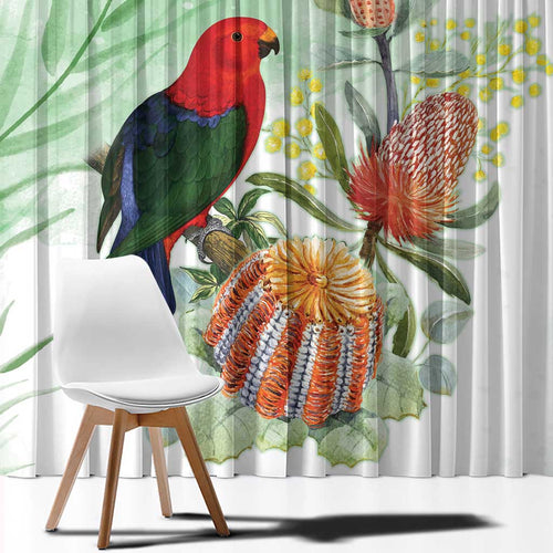 King Parrot Australia Window Curtain Alisterus Scapularis Banksia Watercolor - Aussie Hoodie