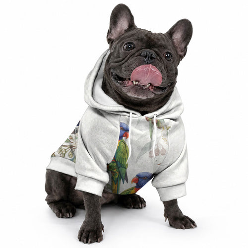 Australia Rainbow Lorikeets White Eucalyptus Blossoms Pet Hoodie