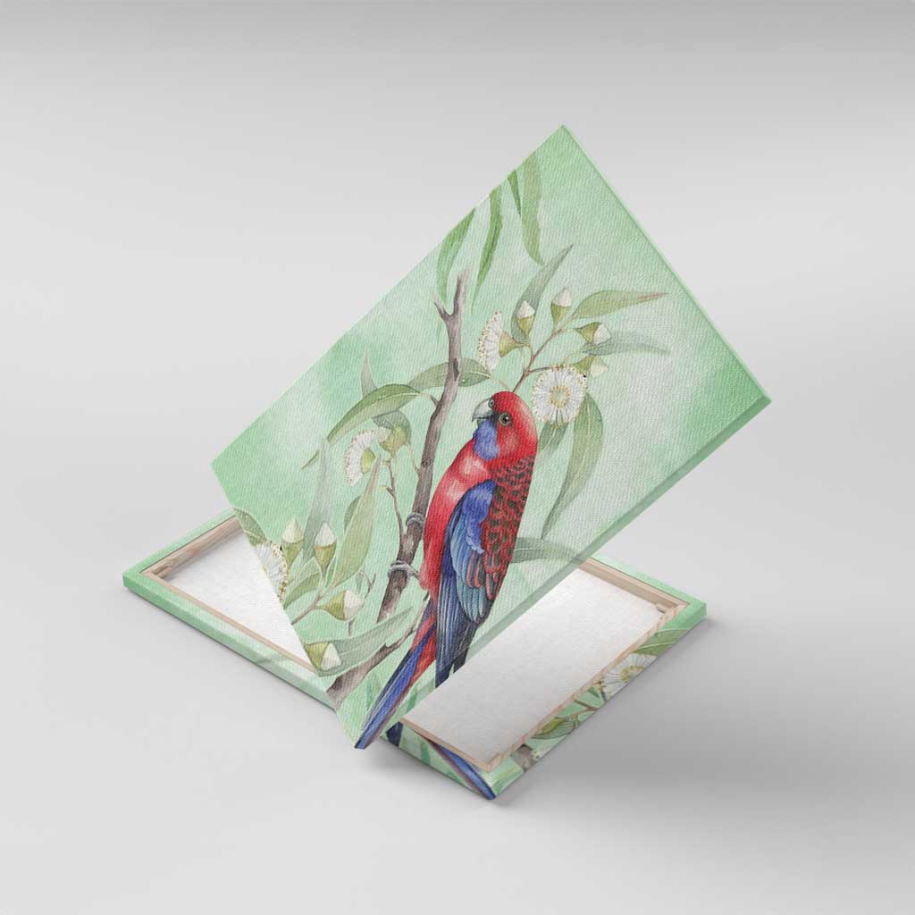 Australia Crimson Rosella Canvas Wall Art Platycercus Elegans Eucalyptus Alba Watercolor - Aussie Hoodie