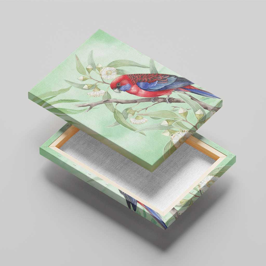 Australia Crimson Rosella Canvas Wall Art Platycercus Elegans Eucalyptus Alba Watercolor - Aussie Hoodie