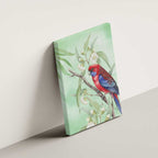 Australia Crimson Rosella Canvas Wall Art Platycercus Elegans Eucalyptus Alba Watercolor - Aussie Hoodie