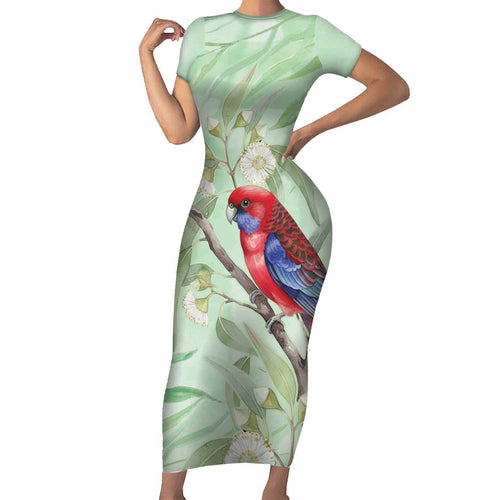 Australia Crimson Rosella Family Matching Short Sleeve Bodycon Dress and Hawaiian Shirt Platycercus Elegans Eucalyptus Alba Watercolor - Aussie Hoodie