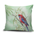 Australia Crimson Rosella Pillow Cover Platycercus Elegans Eucalyptus Alba Watercolor - Aussie Hoodie