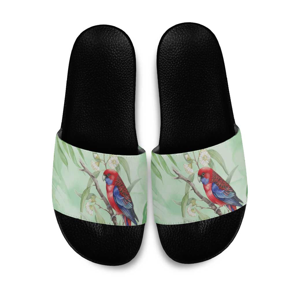Australia Crimson Rosella Slide Sandals Platycercus Elegans Eucalyptus Alba Watercolor - Aussie Hoodie